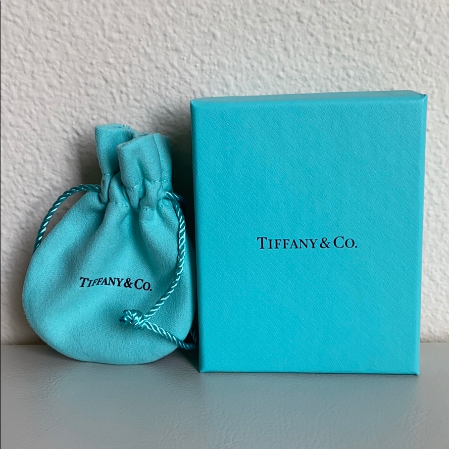 Brand New Tiffany  Co Pouch And Box